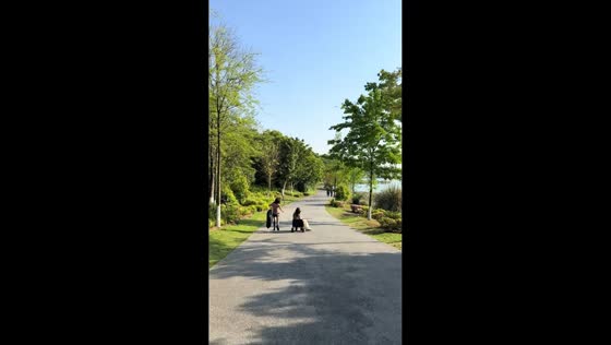 Woman in wagon rolls into bushes after downhill mishap in Chongqing, China