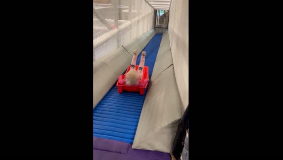 Child slides down conveyor belt at Uppsala bus factory