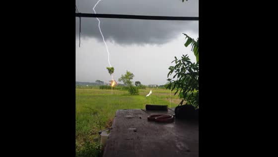 Lightning strikes rice field in Kulon Progo Regency, Indonesia