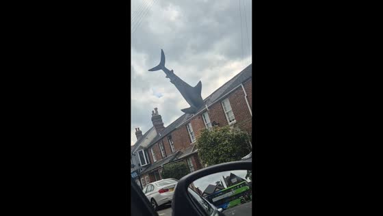 Giant shark sculpture sticking out of house draws attention in Oxford, England, UK