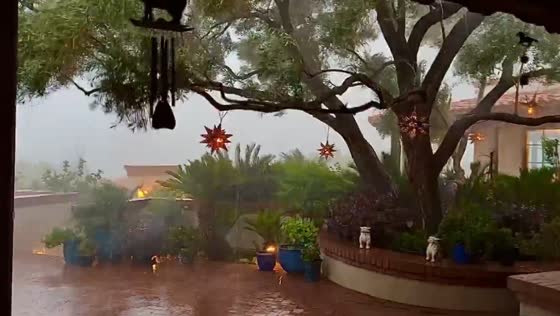 Heavy rain and strong winds hit Catalina Mountain foothills in Tucson, Arizona