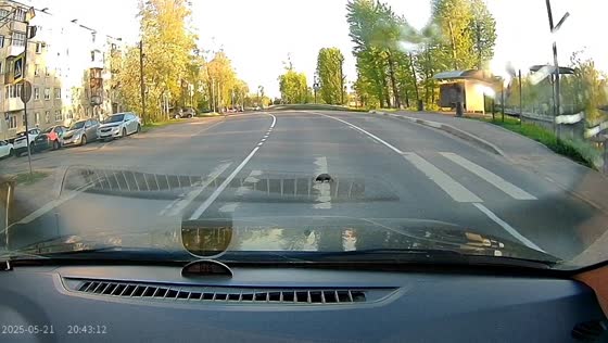 Hedgehog calmly crosses street at pedestrian lane in St. Petersburg, Russia