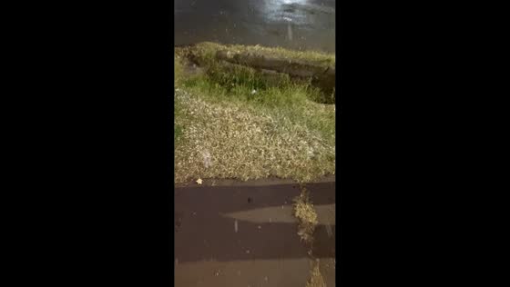 Rare snowfall surprises residents in Rawson, Argentina