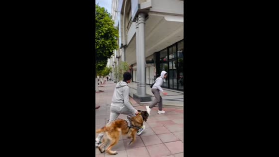 Unexpected trick shot? dog walker chases kicker in Tunisia