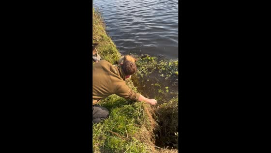 Family rescues dog from water after it struggles to climb back onto land in Doncaster, UK
