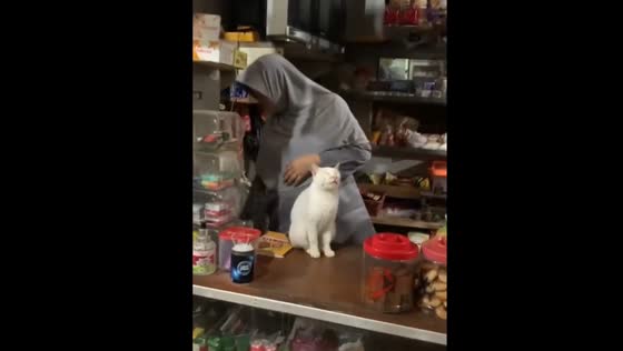 Cat naps on shop counter during customer visit in Bogor, Indonesia
