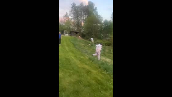 Woman tumbles into bush during balloon prank in Hämeenlinna, Finland