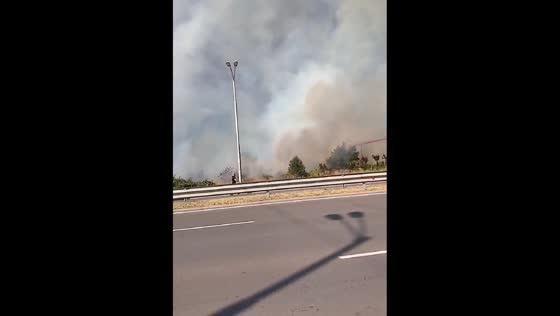 Large brush fire burns along Vladimir Vazov Boulevard in Sofia, Bulgaria