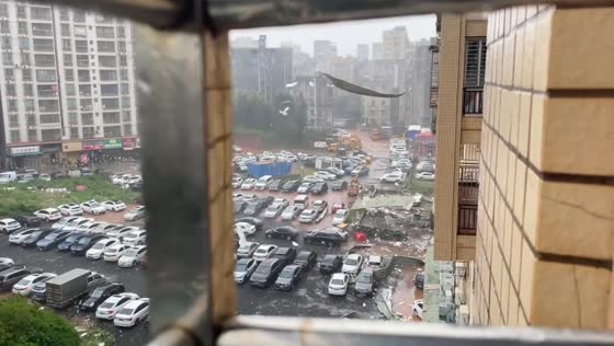 Strong winds from Typhoon Matmo send debris flying in Guangdong, China