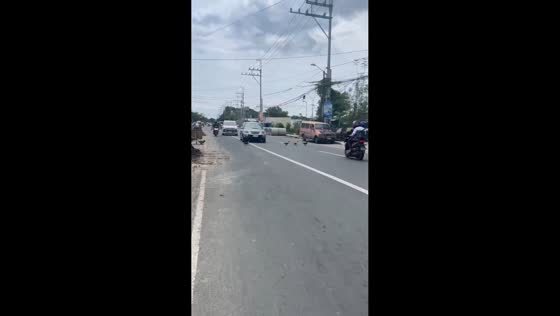 Ducks calmly cross busy street as vehicles stop in Cavite, Philippines