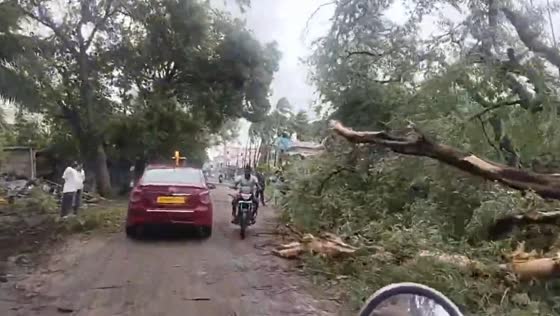 Cyclone Arnab uproots large tree, blocking road and damaging infrastructure in Yanam, India