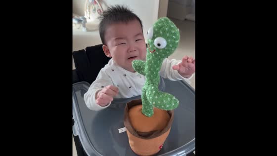 Child cries after being startled by voice-imitating cactus toy