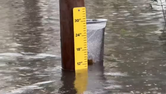 Heavy rainfall triggers flooding in Charleston, USA