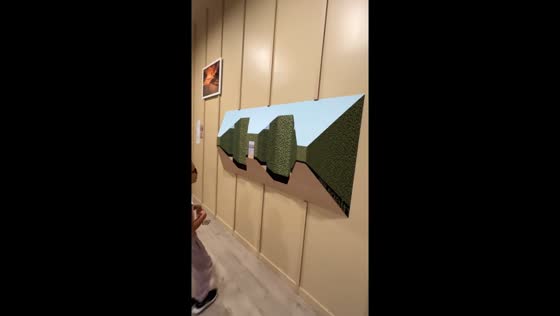 Mesmerizing illusions: the moving wall art at paradox experience Miami