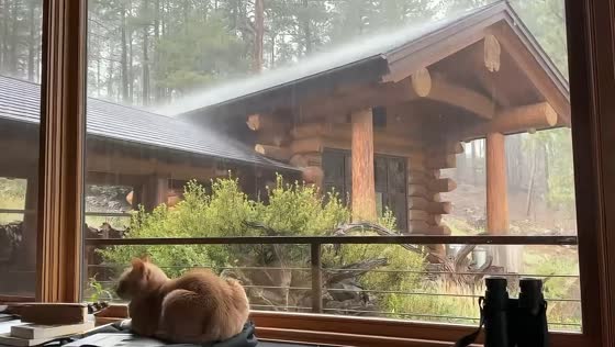 Monsoon downpour drenches cabin during storm in Flagstaff, Arizona, USA