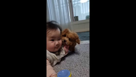 New BFFs: baby Sia and Bori the pup in playful encounter