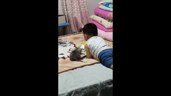 Boy reads a picture book with a kitten in Inner Mongolia, China