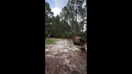 Skilled axe throwing demonstration in South Carolina, USA