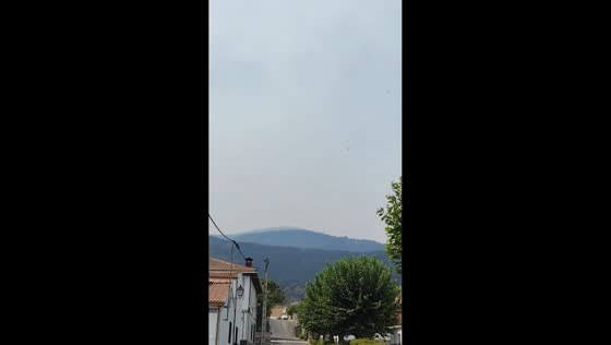 Hundreds of vultures circle above wildfire-hit Iruelas Valley in Ávila, Spain