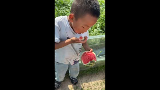 Child repeatedly headbutts watermelon open in Anhui, China