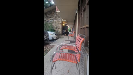Black bear spotted around hotel in Gatlinburg, Tennessee