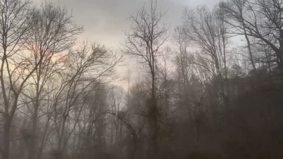 Thick morning fog reduces visibility in Gray, Kentucky, USA
