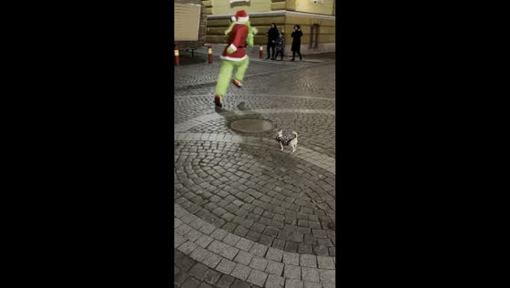 Dog joyfully chases the Grinch through the street in Chernivtsi, Ukraine