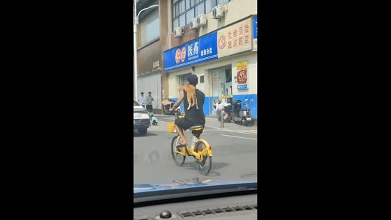 Cyclist rides through the road with cat balanced on shoulders in Guangdong, China