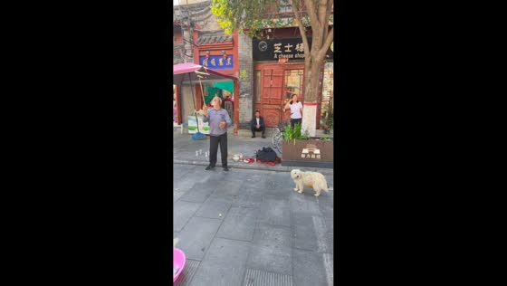 Elderly street performer and dog entertain crowd in Kaifeng, Henan, China