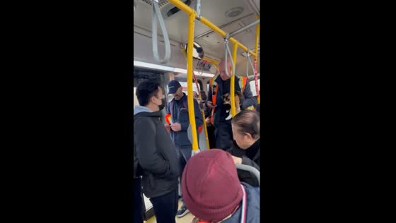 Bus-bound feline: cat sneaks aboard, driver takes a selfie before return