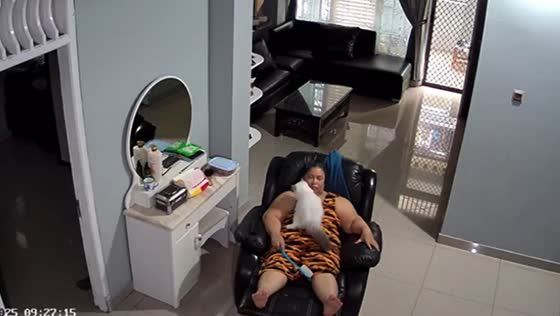 Cat falls on mom while she sits on a chair