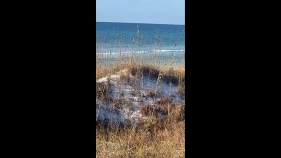 Calm ocean waves along an unspoiled shoreline in Grayton Beach, Florida