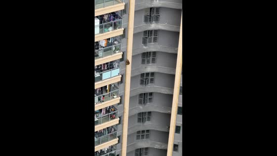 Monkeys climb pipes in high-rise residential area, Guangxi, China