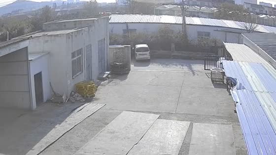 Courier's vehicle crashes into factory wall in Qingdao due to puppy chase
