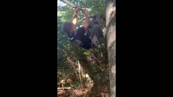 Climber falls after branch breaks in Rock Island, Washington