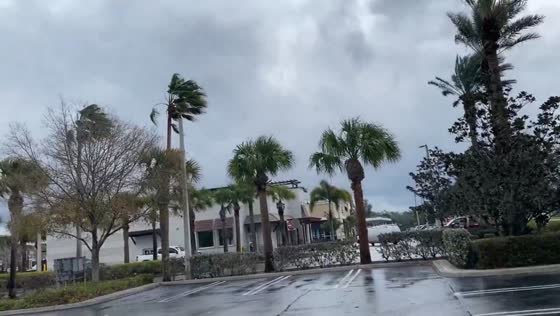Gusty winds and dark clouds as cold front passes in Port St. Lucie, Florida, USA