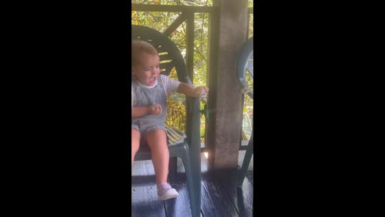 Hummingbird hovers near child before bird lands on lap in Montego Bay, Jamaica