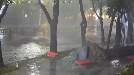 Strong winds topple trees during severe storm in Changzhi, Shanxi, China