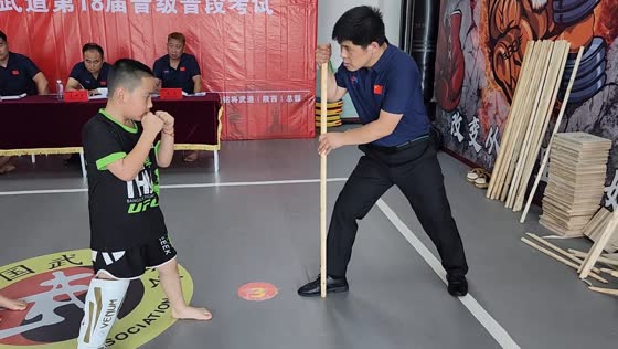Stick breaks during martial arts demonstration in Shaanxi, China