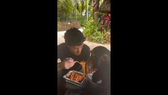 Matt Dillon shares pasta dinner with chimpanzee companion Limbani in Miami