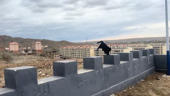 Black cat continuously hops between wall merlons in Inner Mongolia, China