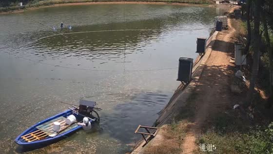Woman falls into river after boat drifts away in Sichuan, China