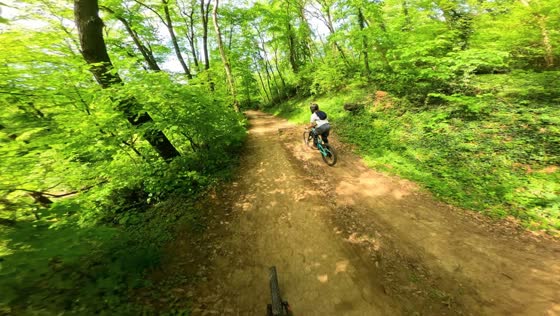 Biker crashes into tree during fast ride at Košutnjak Bike Park in Belgrade, Serbia