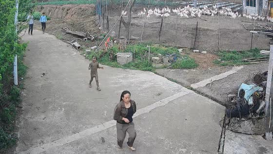 Child covered in mud runs crying after people in Guizhou