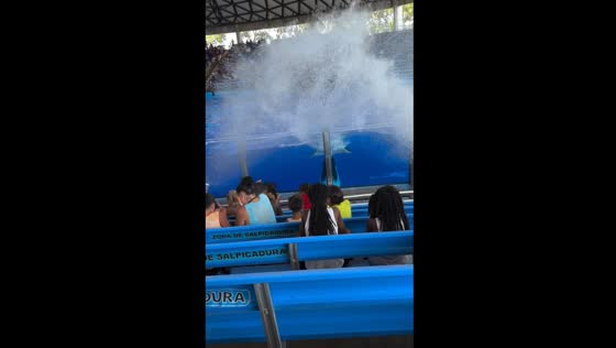 Dolphin soaks spectators at SeaWorld Orlando