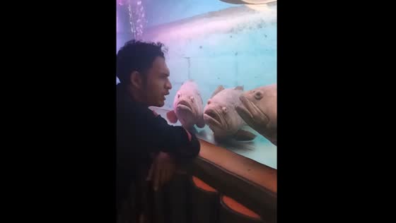 Fish listens attentively while being fed in Kalimantan Barat, Indonesia