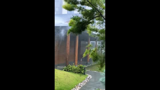 Heavy rain and strong winds shake trees in residential area in Zhejiang, China