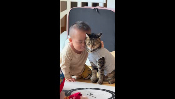Child affectionately rubs against cat in Nagoya, Japan