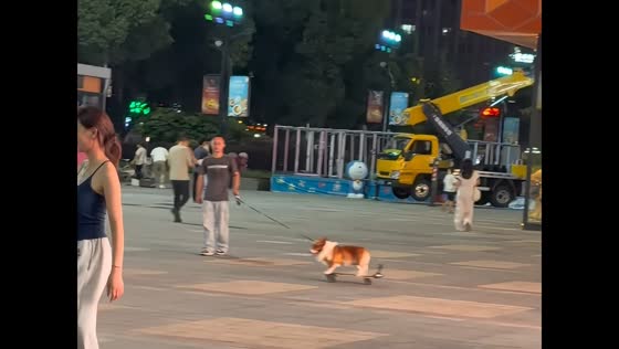 Corgi enjoys a skateboard ride through park in Anhui, China