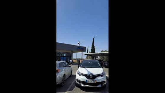 Man jumps from grocery roof onto tree in Lagoa, Portugal